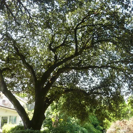 Beaux Chenes Bed & Breakfast