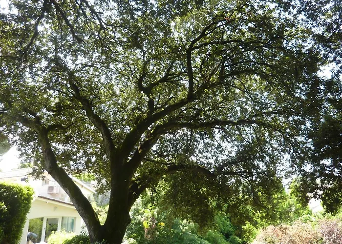 Beaux Chenes Bed and breakfast